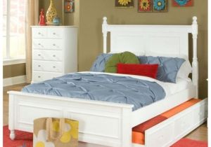 Queen Size Pop Up Trundle Beds for Adults Furniture Magnificent Trundle Beds for Adults Give You