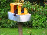 Raccoon Proof Cat Feeder Raccoon Proof Feral Feeding Station Woohoo I Made This