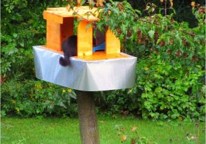 Raccoon Proof Cat Feeder Raccoon Proof Feral Feeding Station Woohoo I Made This