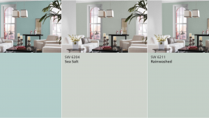 Rainwashed Vs Sea Salt Sherwin Williams Watery Vs Sea Salt Vs Rainwashed Real Life