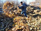 Ramsey County Compost Hours Got Leaves Yard Waste Drop Off Centers In Ramsey County Switch to