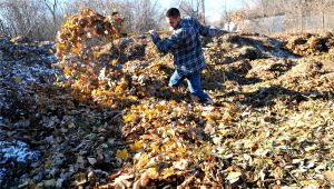 Ramsey County Compost Hours Got Leaves Yard Waste Drop Off Centers In Ramsey County Switch to