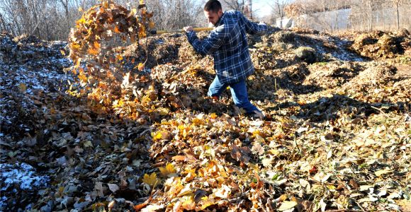 Ramsey County Compost Hours Got Leaves Yard Waste Drop Off Centers In Ramsey County Switch to