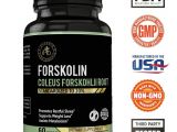 Rapid Trim Ultra forskolin 350 Amazon Com Ipro organic Supplement forskolin Coleus forskonlil Root