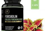 Rapid Trim Ultra forskolin 350 Amazon Com Ipro organic Supplement forskolin Coleus forskonlil Root