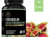 Rapid Trim Ultra forskolin 350 Amazon Com Ipro organic Supplement forskolin Coleus forskonlil Root