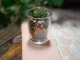 Recuerdos Para Boda Sencillos Hechos En Casa Diy Personalized Succulent Wedding Favors Crafty Spectacular