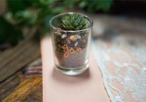 Recuerdos Para Boda Sencillos Hechos En Casa Diy Personalized Succulent Wedding Favors Crafty Spectacular