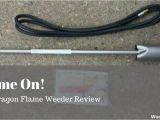 Red Dragon Flame Weeder Flame On Red Dragon Flame Weeder Review Woodhaven Place