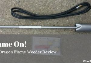 Red Dragon Flame Weeder Flame On Red Dragon Flame Weeder Review Woodhaven Place