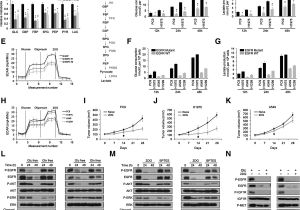 Red River Nm events Next 14 Days Enhanced Glycolysis Supports Cell Survival In Egfr Mutant Lung