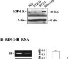 Red River Nm events Next 14 Days Regulation Of Rat Pancreatic Cckb Receptor and somatostatin