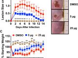 Red River Nm events Next 14 Days Signal Biosynthesis Inhibition with Ambuic Acid as A Strategy to