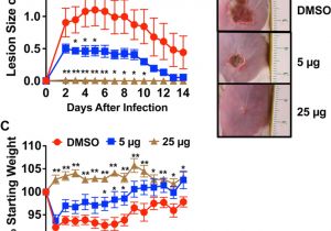 Red River Nm events Next 14 Days Signal Biosynthesis Inhibition with Ambuic Acid as A Strategy to