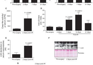 Red River Nm events Next 14 Days the 20s Proteasome Core Active within Apoptotic Exosome Like