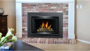 Regency Direct Vent Gas Fireplace Reviews Gas Insert Fireplace Reviews Regency Direct Vent Regarding