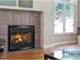 Regency Direct Vent Gas Fireplace Reviews Regency P36d Gas Fireplace Aqua Quip