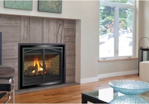 Regency Direct Vent Gas Fireplace Reviews Regency P36d Gas Fireplace Aqua Quip