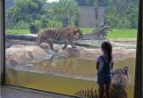 Rent to Own Homes In East Baton Rouge Consultants Again Urge Brec to Consider Relocating Baton Rouge Zoo