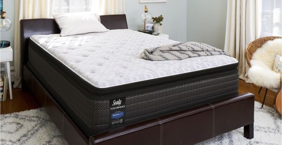 Reviews for Big Fig Mattress Shop Sealy Response Performance 14 Inch Queen Size Plush Pillowtop