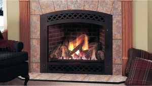 Reviews Of Direct Vent Gas Fireplace Inserts Gas Fireplace Insert Reviews Best Gas Fireplace Insert