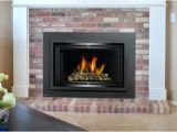 Reviews Of Direct Vent Gas Fireplace Inserts Gas Insert Fireplace Reviews Regency Direct Vent Regarding