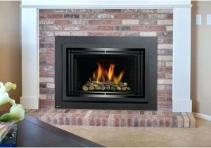 Reviews Of Direct Vent Gas Fireplace Inserts Gas Insert Fireplace Reviews Regency Direct Vent Regarding