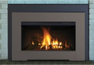 Reviews Of Direct Vent Gas Fireplace Inserts Superior Dri3030 Direct Vent Gas Fireplace Insert with