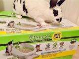 Reviews On Breeze Litter Box Breeze Litter Box Tava An Baka Ma 11 Bolum Youtube