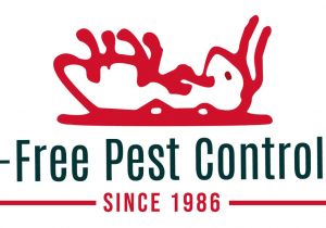 Rodent Control Charleston Sc Pest Free Pest Control