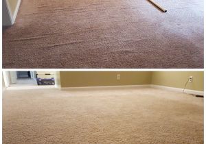 Rug Cleaning Midlothian Va Midlothian Carpet Stretching Steamline Carpet Cleaning