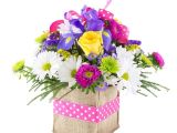 Same Day Flower Delivery fort Wayne Indiana Pink Polka Dots Local Delivery Only Lopshire Flowers