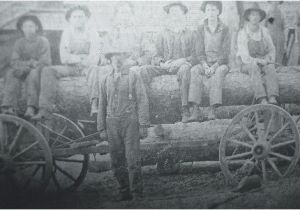 Sawmills In East Texas Savannah Texas