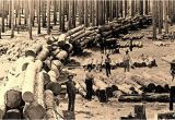 Sawmills In East Texas the Bonanza Era southeast Texas Sawmill Heritage the