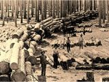 Sawmills In East Texas the Bonanza Era southeast Texas Sawmill Heritage the