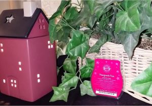 Scentsy No Place Like Home Mini Warmer Scentsy there S No Place Like Home Warmer Youtube