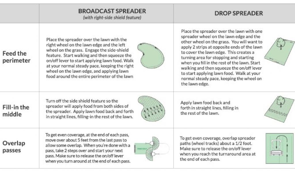 Spread over. Feed Feeds правило. Take Pass разница. The Scotts перевод. How Seeds are spread.