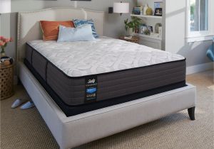 Sealy Cushion Firm Vs Firm Sealy Response Performance 12 5 Inch Cushion Firm Full Size Mattress