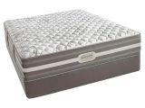 Sealy Fawn Lake Mattress King Size Hard Mattress Jantenhoor Info