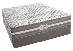 Sealy Fawn Lake Mattress King Size Hard Mattress Jantenhoor Info