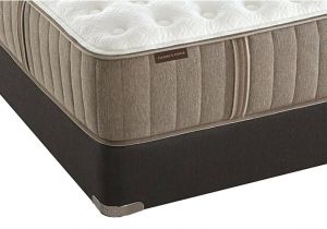 Sealy Fawn Lake Mattress Queen Mattress Cushion Mattress Cushion Firm Queen Queen