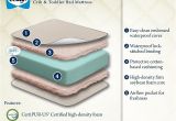 Sealy Omni Plush Crib Mattress Sealy soybean Foam Core Crib Mattress Review Omni Reviews