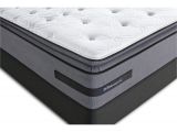 Sealy Posturepedic Plus Deveraux 13 Cushion Firm Mattress Sealy Posturepedic Plus Deveraux 14 Quot Plush Euro Pillow