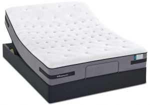 Sealy Posturepedic Plus Deveraux Mattress Sealy Posturepedic Plus Deveraux 11 5 Quot Firm Mattress