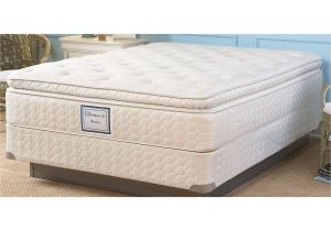 Sears Box Spring Queen Air Mattress Fair Sears Mattress Sets Queen Have Label Sears