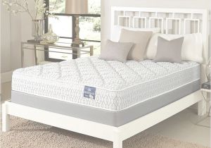 Sears Box Spring Queen Sears Mattress Sets On Sale Www Bilderbeste Com