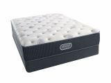 Sears Box Spring Queen Split Bedroom Split Queen Box Spring Ikea Frames for Mattress and