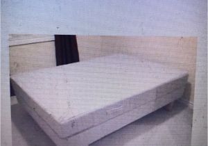 Sears Box Spring Queen Split Bedroom Split Queen Box Spring Ikea Sears Queen Box Spring Bmpath