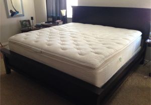 Sears Box Spring Queen Split Unique King Size Bed Frame Sears Hinzagasht