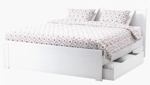 Sears Box Spring Queen Unique King Size Bed Frame Sears Hinzagasht